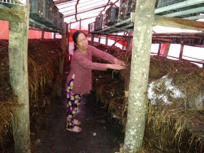 hinh nam rom 2.jpg